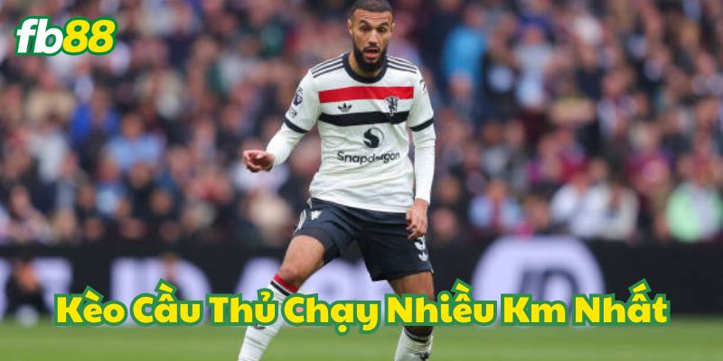 Top 5 Mẹo Soi Kèo Cầu Thủ Chạy Nhiều Km Nhất Từ FB88 2 Khi nào nên chơi Kèo Cầu Thủ Chạy Nhiều Km Nhất