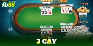 3 cay