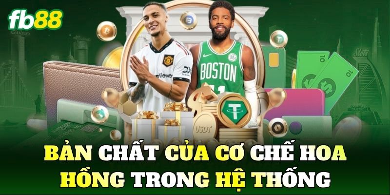 Bản chất của cơ chế hoa hồng trong hệ thống
