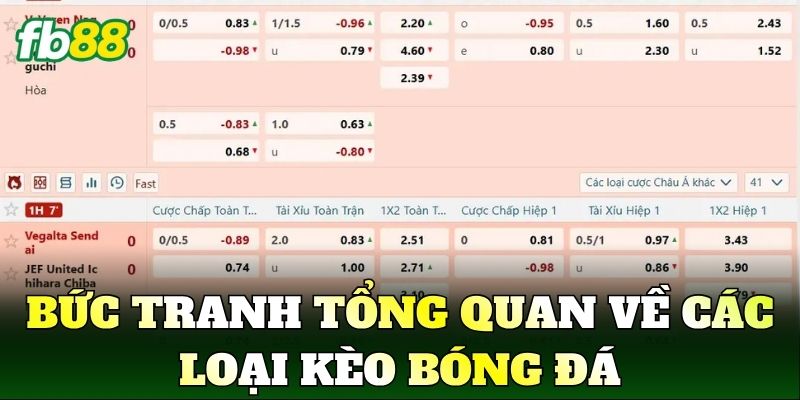 Các Loại Kèo Bóng Đá Phổ Biến Trong Cá Cược Hiện Nay 1 Bức tranh tổng quan về các loại kèo bóng đá