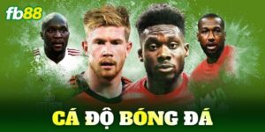 ca do bong da