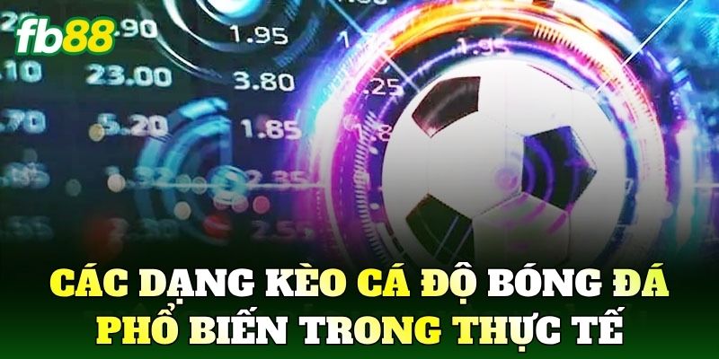 Các dạng kèo cá độ bóng đá phổ biến trong thực tế