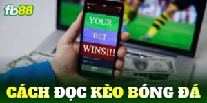 cach doc keo bong da
