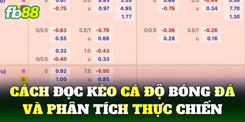 Cách đọc kèo cá độ bóng đá và phân tích thực chiến