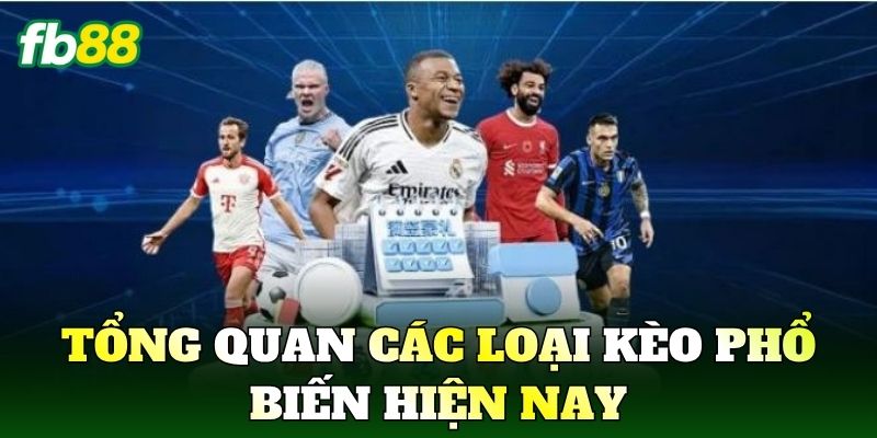 Tổng quan các loại kèo phổ biến hiện nay