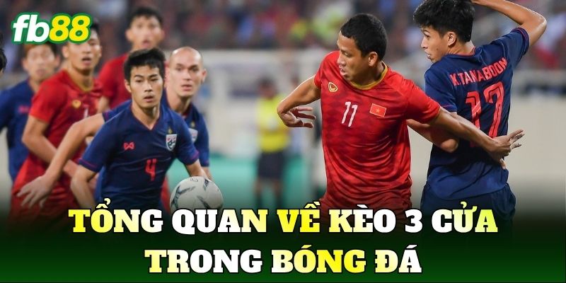 Kèo 3 Cửa Là Gì? Cách Chơi Chuẩn Trong Cá Cược Bóng Đá 1 Tổng quan về kèo 3 cửa trong bóng đá