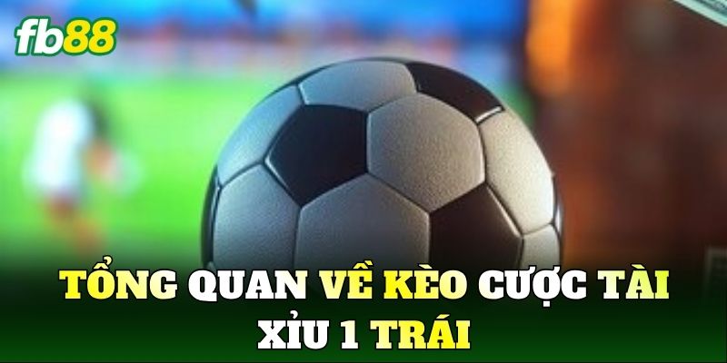 Tổng quan về kèo cược tài xỉu 1 trái