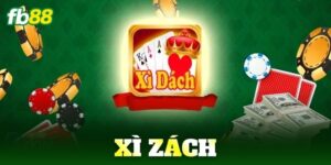 xi zach