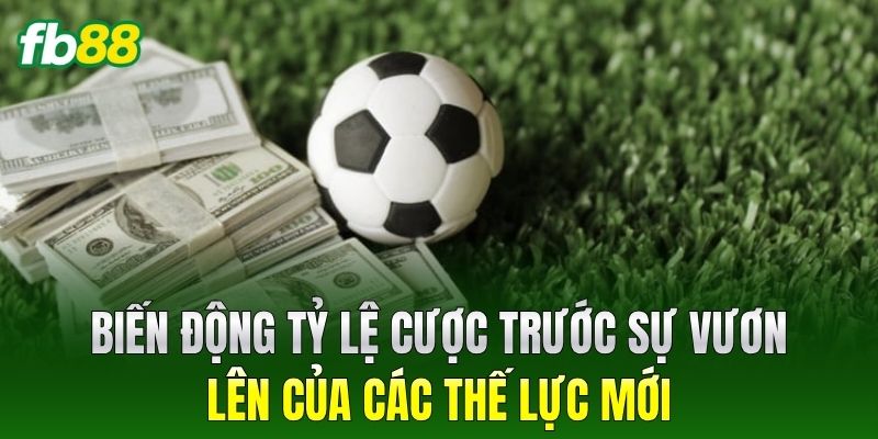Biến động tỷ lệ cược trước sự vươn lên của các thế lực mới