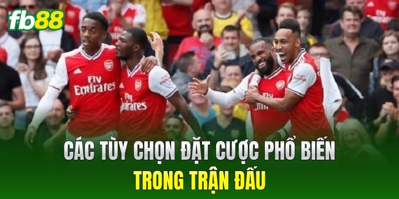 Các tùy chọn đặt cược phổ biến trong trận đấu