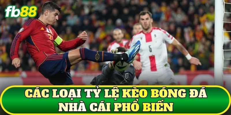 Các loại tỷ lệ kèo bóng đá nhà cái phổ biến