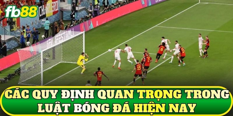 Luật Bóng Đá: Tổng Hợp Quy Định Thi Đấu Cơ Bản 2 Các quy định quan trọng trong luật bóng đá hiện nay