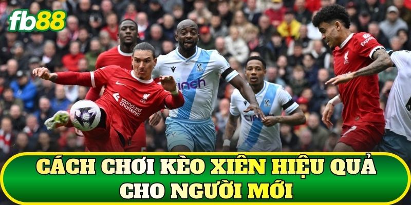 Kèo Xiên Là Gì? Cách Chơi Và Kinh Nghiệm Chọn Kèo 3 Cách chơi kèo Xiên hiệu quả cho người mới