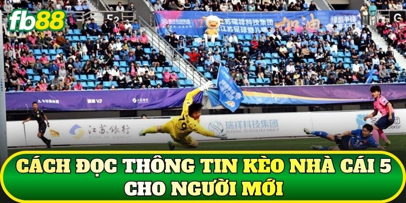 Cách đọc thông tin kèo nhà cái 5 cho người mới