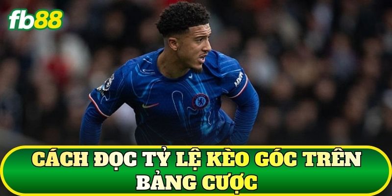Kèo Góc Là Gì? Cách Đọc Và Soi Kèo Phạt Góc Hiệu Quả 2 Cách đọc tỷ lệ kèo góc trên bảng cược