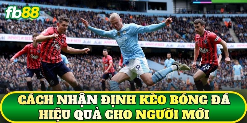 Nhận Định Kèo Bóng Đá Chuẩn Từ Chuyên Gia Soi Kèo 2 Cách nhận định kèo bóng đá hiệu quả cho người mới