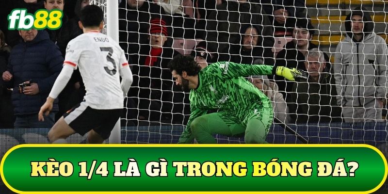 Kèo 1/4 Là Gì? Cách Tính Thắng Thua Chuẩn Nhất 1 Kèo 1/4 là gì trong bóng đá?