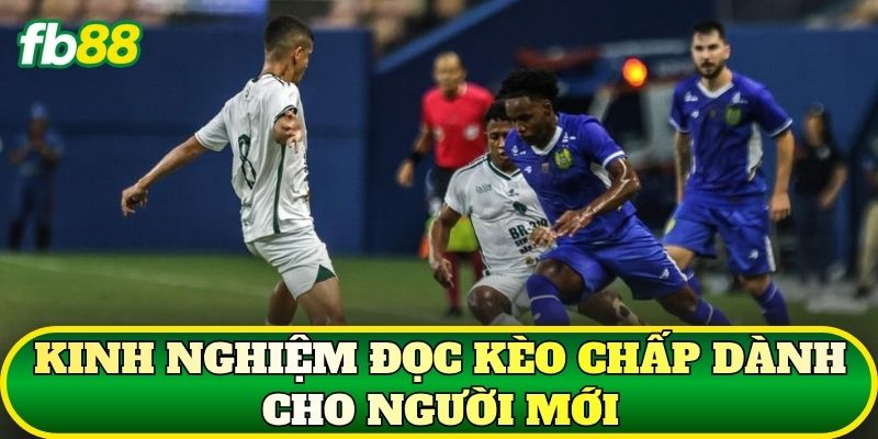 Kèo Chấp Là Gì? Cách Đọc Và Tính Kèo Bóng Đá Chuẩn 3 Kinh nghiệm đọc kèo chấp dành cho người mới