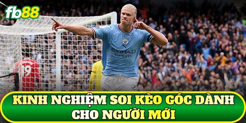 Kèo Góc Là Gì? Cách Đọc Và Soi Kèo Phạt Góc Hiệu Quả 3 Kinh nghiệm soi kèo góc dành cho người mới