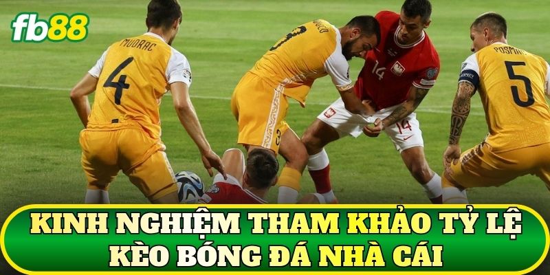 Kinh nghiệm tham khảo tỷ lệ kèo bóng đá nhà cái