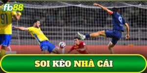 Soi Kèo Nhà Cái
