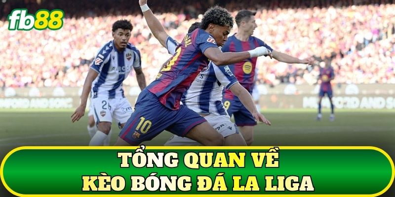 Tổng quan về kèo bóng đá La Liga