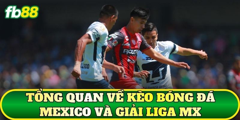 Tổng quan về kèo bóng đá Mexico và giải Liga MX