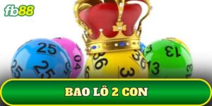 Bao Lô 2 Con