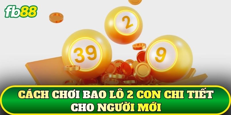Bao Lô 2 Con Là Gì? Cách Chơi Chi Tiết Cho Người Mới 2 Cách chơi bao lô 2 con chi tiết cho người mới
