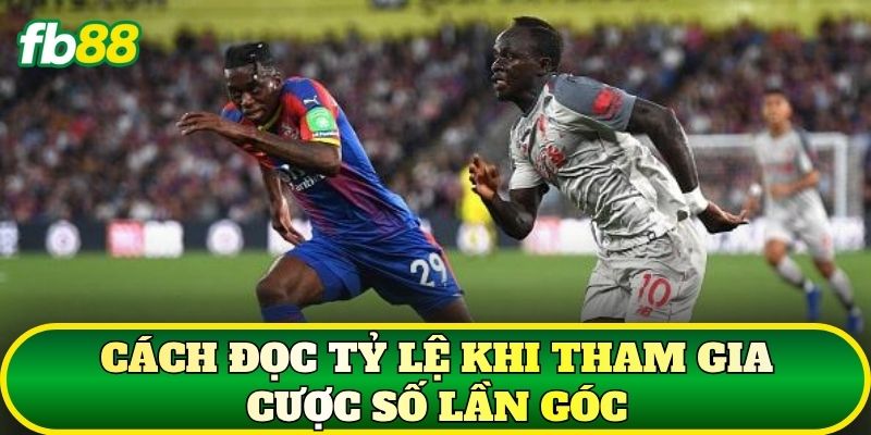 Cược Số Lần Góc: Cách Đọc Kèo Và Phân Tích Chuẩn 2 Cách đọc tỷ lệ khi tham gia cược số lần góc